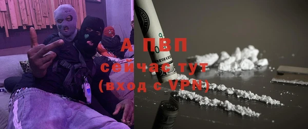 индика Белоозёрский