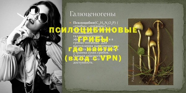 прущие грибы Зерноград