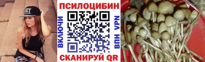 Галлюциногенные грибы MAGIC MUSHROOMS  Плёс 